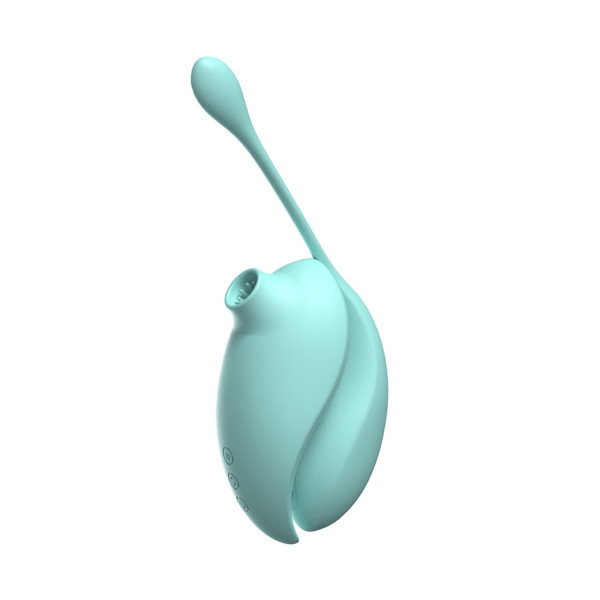 Vibromasseur clitoridienne à picots par aspiration avec son œuf vibrant à distance turquoise - 0-B0009TUR